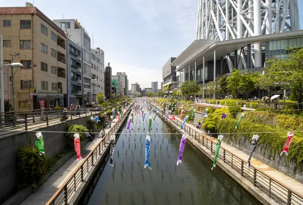 Tokyo Sky Tree Carp Streamer Festival