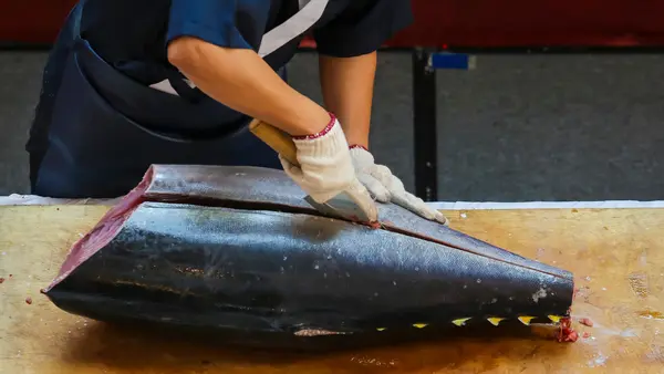 Tsukiji Market